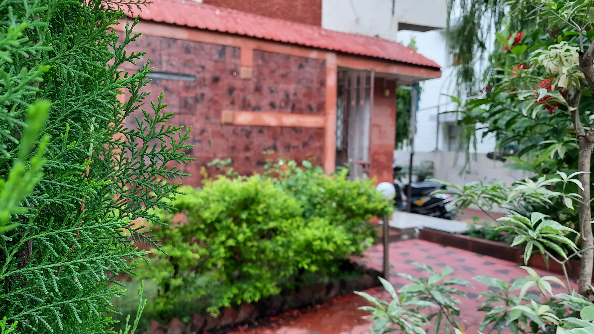 Garden-3