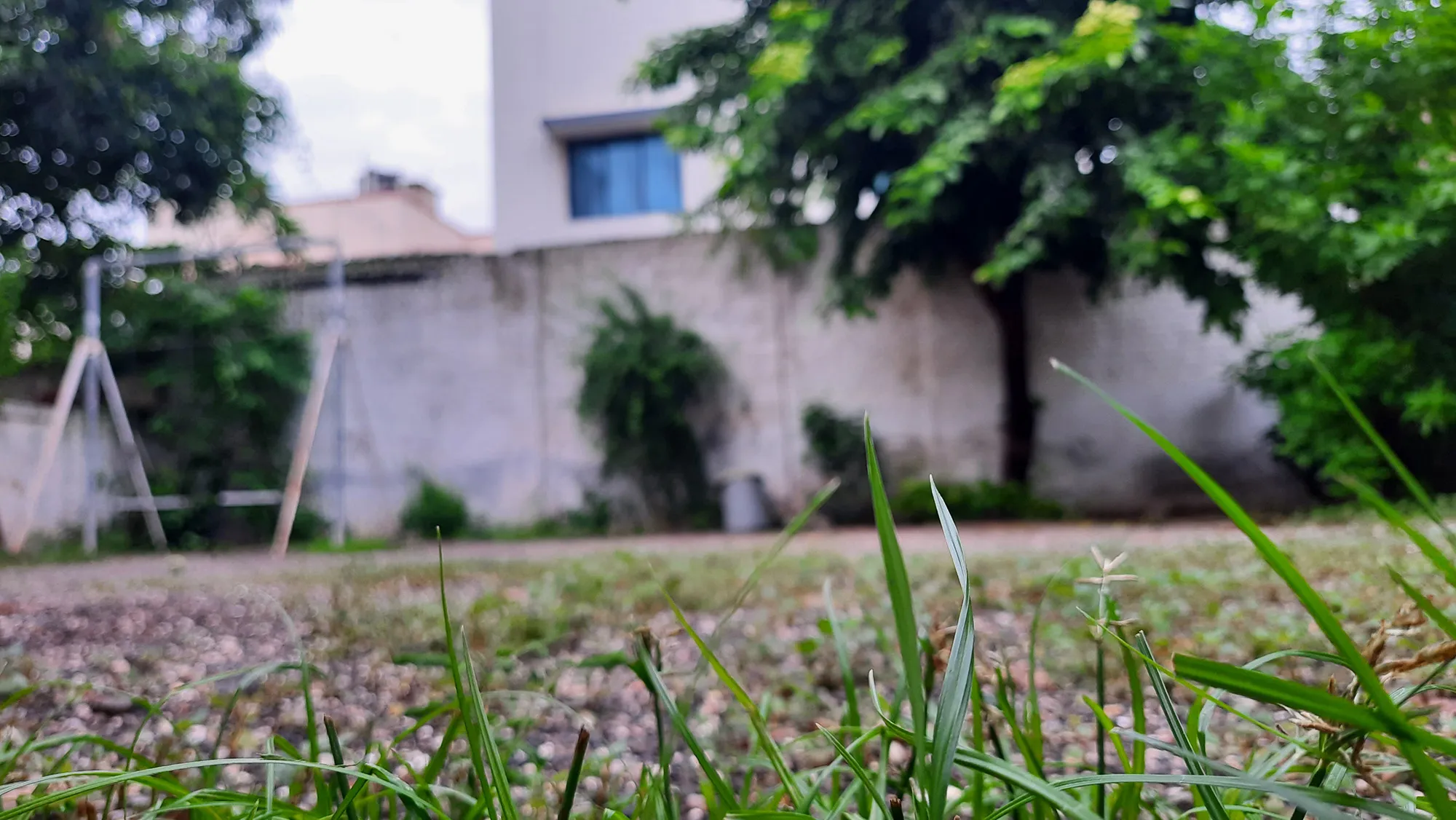 Garden-5