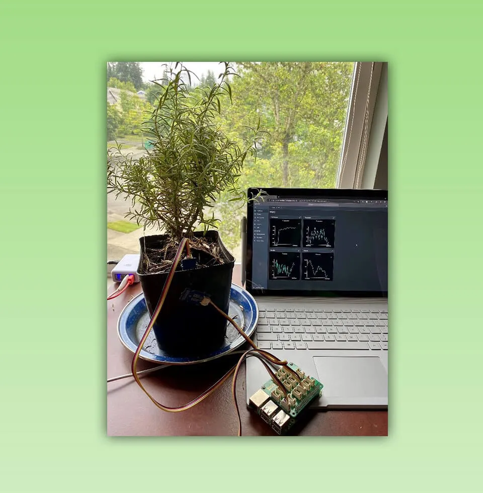 Life to plant